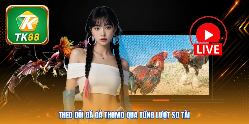 Theo dõi đá gà Thomo qua từng lượt so tài