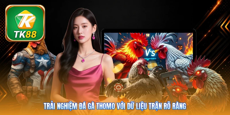 Trải nghiệm đá gà Thomo với dữ liệu trận rõ ràng